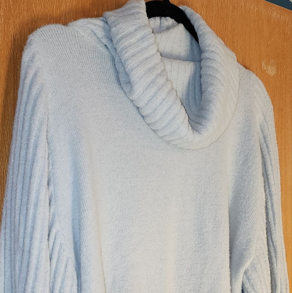 Express sweater Size Large